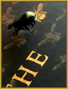 bee on book