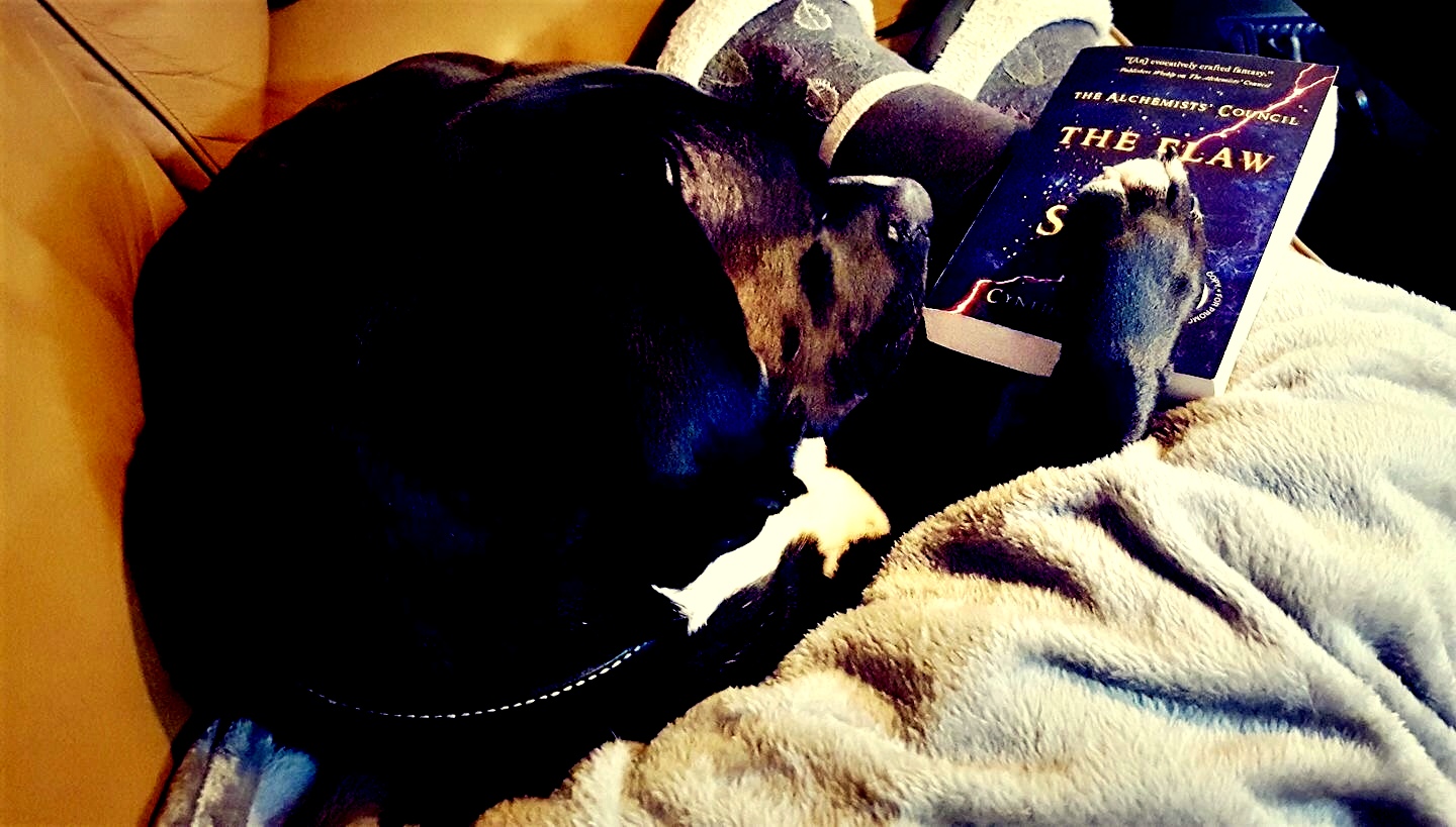 Fen From Chelsea 2017