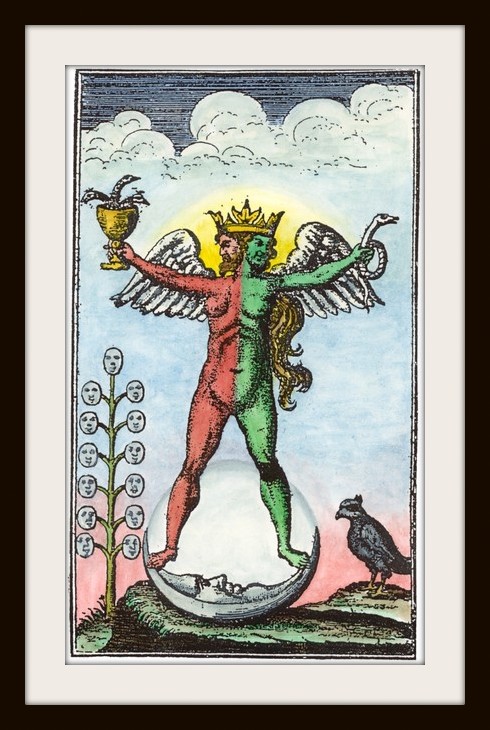 Adam M Purchased Image Framed