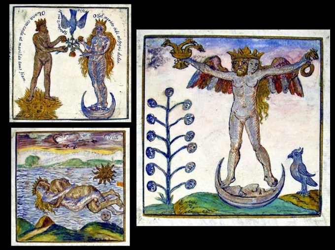 Rosarium Three Images