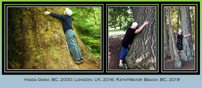 Cynthea Tree Hugging